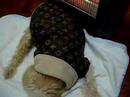 ??4586