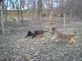 PB210821.MOV PB210821.MOV