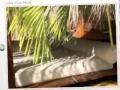 The video is an illustration of the Book"Transform...