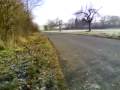 Reely Carbon Video 1 Reely Carbon Video 1