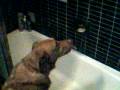 videos de videos 011