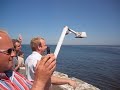 F�hre Fehmarn-R�dby begr��t Touristen