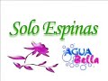 agua bella 2007   solo espinas