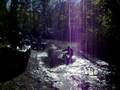 Covington Pike Bottoms 3