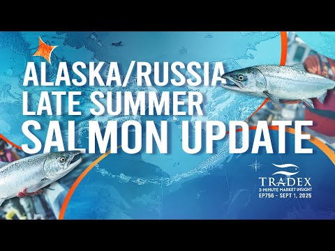 3MMI - Late-Summer Salmon Update: Global Salmon Supply Tightens as Pink Harvests Lag
