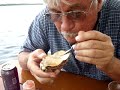 How to eat raw oysters