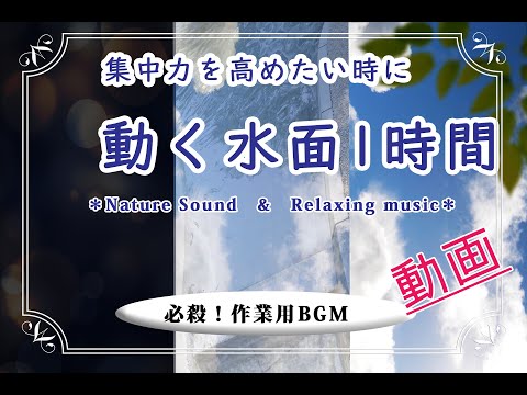 動画