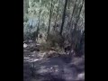 BTT Silvares - Onde está o Rui?