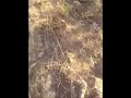 BTT Silvares - Onde está o Rui?