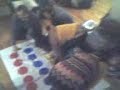 Twister 1
