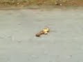 you can watch this 10k times and still laugh.
