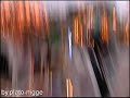 Shake & Roll (Onride)