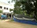 Cetáceos en Bangladesh, en 