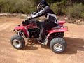 banshee pines raptor 350