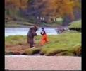 bear vs man
