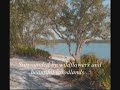 Panama City Real Estate - Lake Merial