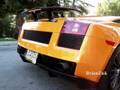 Lamborghini Gallardo Superleggera Start Up