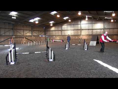 Winning G1-3 Agility