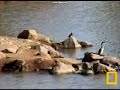 Birds! Birds! Birds! 5