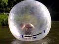 Waterwalking ball in stockholm