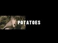 Mashed Taters ?