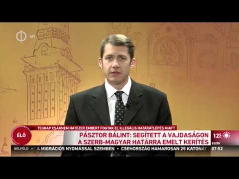 Pásztor Bálint: segített a Vajdaságon a szerb-magyar határra emelt kerítés-cover