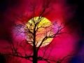 d�cembre 1990 : entr�e dans les charts de ce titre mythique et myst�rieux, tant la sensualit� est omnipr�sente : la voix de liane y est, bien s�r, pr�pond�rante, pour cr�er une ambiance � la limite sexy ! liane prouve d�j�, ici, ses �normes qualit�s musicales, mais aussi son physique super... devenue, en prime, imitatrice, elle a vraiment tout pour nous plaire, pour vous plaire... liane, c'est un solide coup de coeur perso, et ce titre m'a �norm�ment 