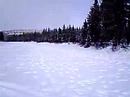 Chasse caribou (action derri�re)