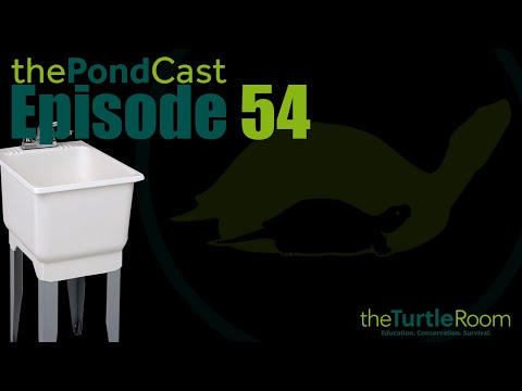YouTube reptile video