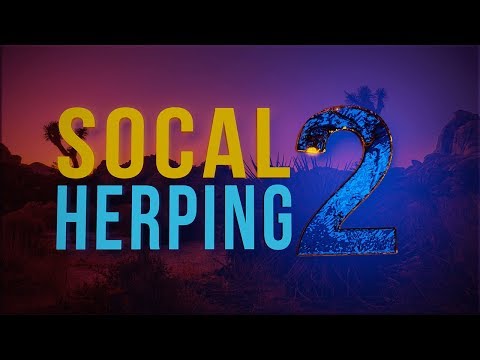 YouTube reptile video