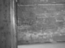 SELEO TEAM -Un mondo pieno di spot-