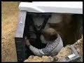 Swimming Pool Kafko DIY Inground Clip 2