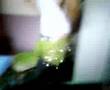 dance de Linda (l)