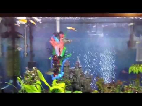 how to drain ro tank