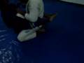Jiu jitsu - Michel e Beleleu: treino