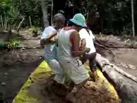 Cobbing in the Amazon