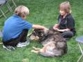 adam and heather_0002.wmv