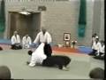 aikido,TK,chiba