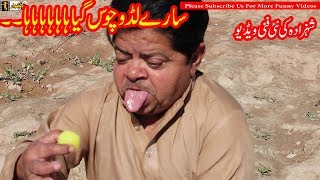Pothwari Drama  Besharam  Shahzada Ghaffar  Comedy