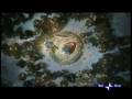 videos de spot_123_kinder_decorazioni_natale