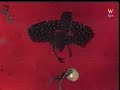 Astral Projection - People can fly
