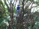 Kiramu-trip-video-5