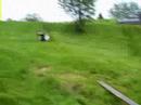 Rainy Hill Boarding, Session 2!