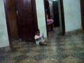 Tamil'in Attakasam