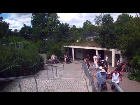 Zoo Denmark - Copenhagen Zoo was founded by the ornithologist Niels Kjærbølling in 1859. He was given the summer garden of