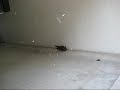 M18 ????? ???? ????? (AirsoftGun)