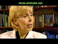 Part 5 Alien Abductees Talk About Their Experiences Part 5 Alien Abductees Talk About Their Experiences