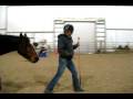 videos de Train Your Horse to Be a Calm, Brave Jumper Using Free Lunging