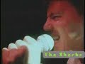 The Sherbs- We Ride Tonight