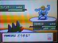 Pokémon Platinum - Optional Boss - Top Trainer Café Maylene
